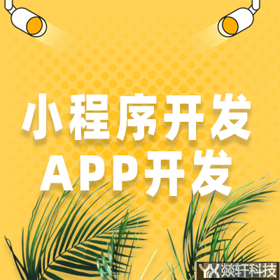 定制開發(fā)有什么好處？為什么要開發(fā)app？使用起來效果不好？